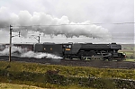 Filename=DSC_11078.jpg
Filesize=1436KiB
Dimensions=2048x1365
Date added=Feb 06, 2016 DSC_11078.jpg