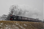 Filename=DSC_11467.jpg
Filesize=1585KiB
Dimensions=2048x1365
Date added=Feb 04, 2012 DSC_11467.jpg