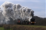 Filename=DSC_11620.jpg
Filesize=1322KiB
Dimensions=2048x1365
Date added=Feb 25, 2012 DSC_11620.jpg