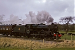 Filename=DSC_13038.jpg
Filesize=1193KiB
Dimensions=2048x1365
Date added=Jan 24, 2015 DSC_13038.jpg