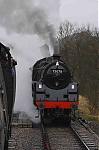 Filename=DSC_13408.jpg
Filesize=691KiB
Dimensions=1365x2048
Date added=Mar 03, 2015 DSC_13408.jpg