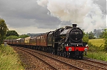 Filename=DSC_14676.jpg
Filesize=1541KiB
Dimensions=2048x1365
Date added=Jun 17, 2015 DSC_14676.jpg