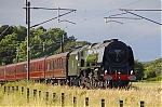Filename=DSC_14981.jpg
Filesize=1650KiB
Dimensions=2048x1365
Date added=Jul 18, 2015 DSC_14981.jpg