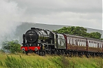 Filename=DSC_15128.jpg
Filesize=1272KiB
Dimensions=2048x1365
Date added=Jul 23, 2015 DSC_15128.jpg