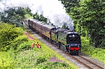 Filename=DSC_15180.jpg
Filesize=2505KiB
Dimensions=2048x1365
Date added=Jul 26, 2015 DSC_15180.jpg