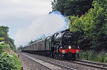 Filename=DSC_15331.jpg
Filesize=1846KiB
Dimensions=2048x1365
Date added=Aug 05, 2015 DSC_15331.jpg