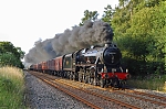 Filename=DSC_15557.jpg
Filesize=1834KiB
Dimensions=2048x1365
Date added=Aug 12, 2015 DSC_15557.jpg