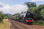 Filename=DSC_15564.jpg
Filesize=2100KiB
Dimensions=2048x1365
Date added=Aug 16, 2015 DSC_15564.jpg