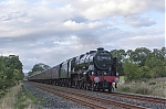 Filename=DSC_15625.jpg
Filesize=1638KiB
Dimensions=2048x1365
Date added=Aug 26, 2015 DSC_15625.jpg
