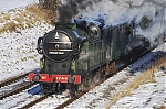 Filename=DSC_15816.jpg
Filesize=1752KiB
Dimensions=2048x1365
Date added=Jan 26, 2013 DSC_15816.jpg