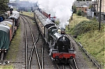 Filename=DSC_17487.jpg
Filesize=2541KiB
Dimensions=2048x1365
Date added=Oct 07, 2019 DSC_17487.jpg