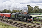 Filename=DSC_17507.jpg
Filesize=2003KiB
Dimensions=2048x1365
Date added=Oct 07, 2019 DSC_17507.jpg