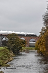 Filename=DSC_17877.jpg
Filesize=3438KiB
Dimensions=1365x2048
Date added=Nov 09, 2019 DSC_17877.jpg