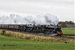 Filename=DSC_17892.jpg
Filesize=1788KiB
Dimensions=2048x1365
Date added=Nov 09, 2019 DSC_17892.jpg