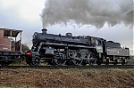 Filename=DSC_19941.jpg
Filesize=1489KiB
Dimensions=2048x1365
Date added=Feb 23, 2014 DSC_19941.jpg