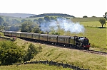 DSC_9906a.jpg