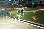 NRM044.jpg
