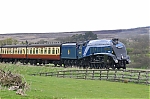 NYMR09015.jpg