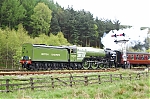 NYMR09022.jpg