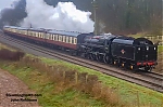 73156.jpg