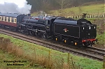 73156b.jpg