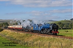 DSC_10128.jpg