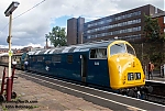 DSC_10265~0.jpg