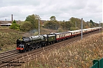 DSC_10321.jpg