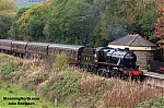 Filename=DSC_10397~0.jpg
Filesize=2759KiB
Dimensions=2048x1365
Date added=Oct 21, 2025 DSC_10397~0.jpg