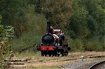 Filename=DSC_10416.jpg
Filesize=871KiB
Dimensions=1235x823
Date added=Oct 21, 2025 DSC_10416.jpg