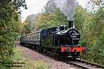 Filename=DSC_10420.jpg
Filesize=2464KiB
Dimensions=2048x1365
Date added=Oct 21, 2025 DSC_10420.jpg