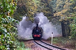 Filename=DSC_10450.jpg
Filesize=2487KiB
Dimensions=2048x1365
Date added=Oct 21, 2025 DSC_10450.jpg