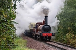 DSC_10453.jpg