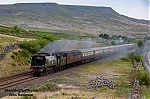 DSC_11146.jpg