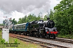 DSC_11202.jpg