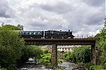 DSC_11215.jpg
