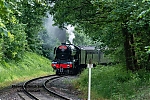 DSC_11222.jpg
