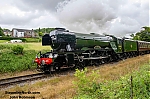 DSC_11258~0.jpg