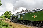 DSC_11259.jpg
