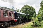 DSC_11262.jpg