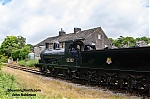 DSC_11267~0.jpg