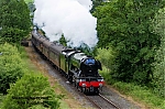 DSC_11271.jpg