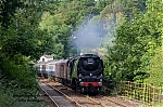 DSC_11280.jpg
