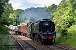 DSC_11283.jpg