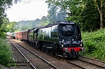 DSC_11286.jpg