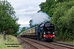 DSC_11319.jpg