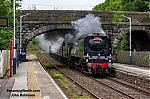 DSC_11343~0.jpg