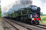 DSC_11381.jpg