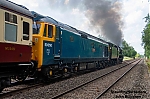DSC_11382~0.jpg