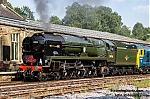 DSC_11392.jpg